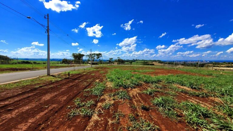 Terreno Condomínio à venda no Alto do Castelo: Terreno