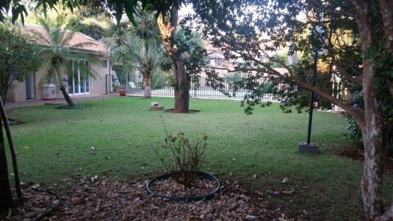 Casa à venda no Centro: | Foto_migracao | 20