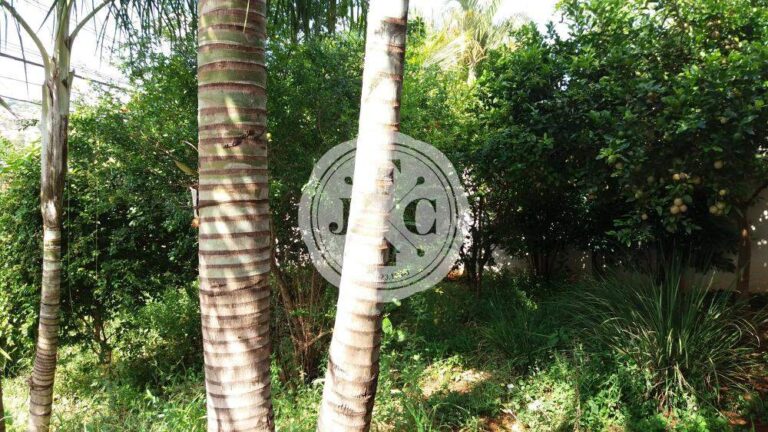Casa à venda no Ribeirânia: | Foto_migracao | 22