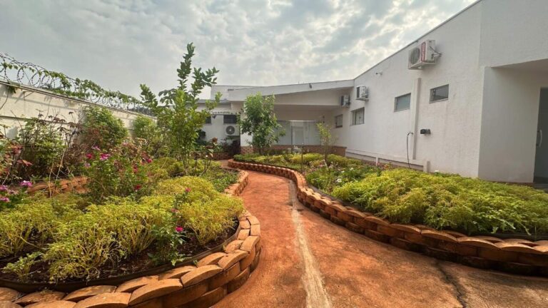 Sala Comercial para aluguel no Ribeirânia: Jardim