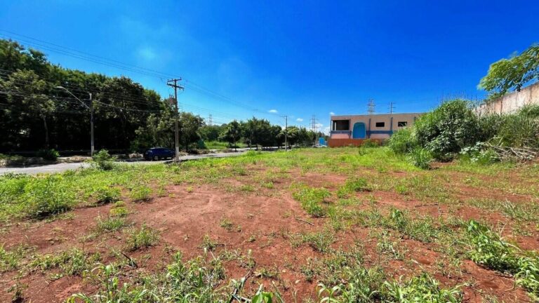 Terreno Comercial para aluguel no City Ribeirão:
