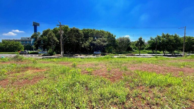 Terreno Comercial para aluguel no City Ribeirão:
