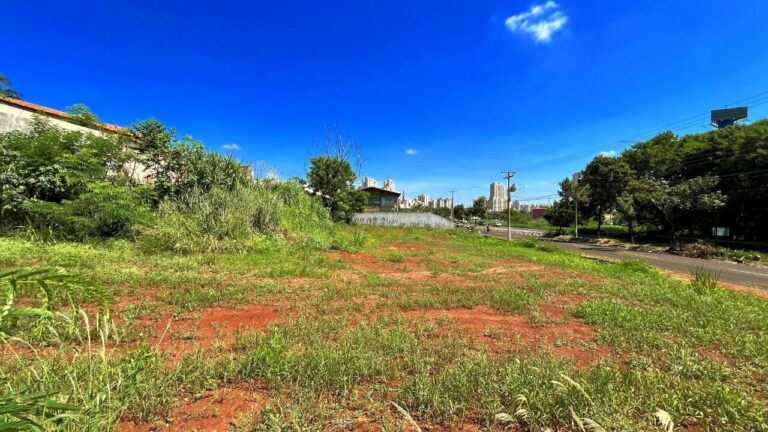 Terreno Comercial para aluguel no City Ribeirão: