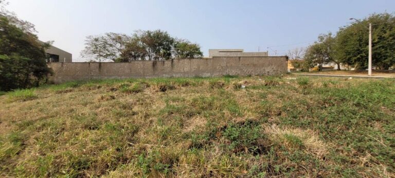 Terreno para aluguel no Alto da Boa Vista: