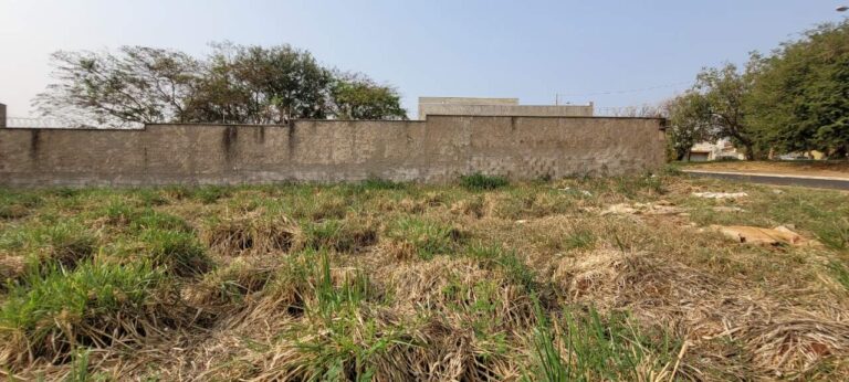 Terreno para aluguel no Alto da Boa Vista: