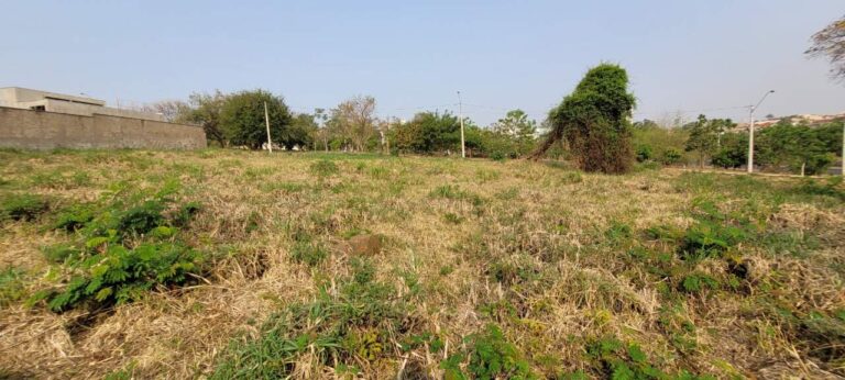 Terreno para aluguel no Alto da Boa Vista: