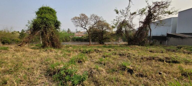 Terreno para aluguel no Alto da Boa Vista: