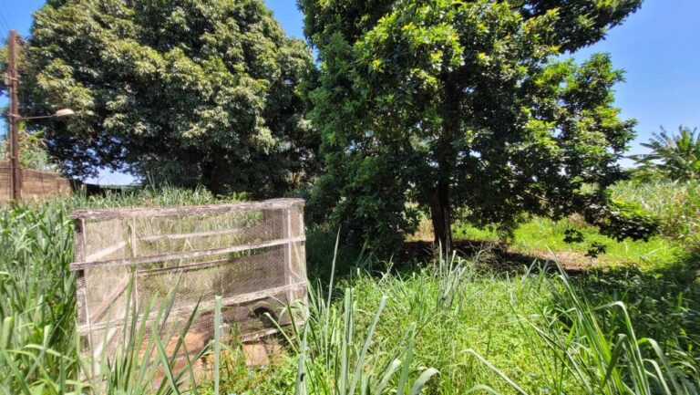 Área à venda no Parque Residencial Cidade Universitária: