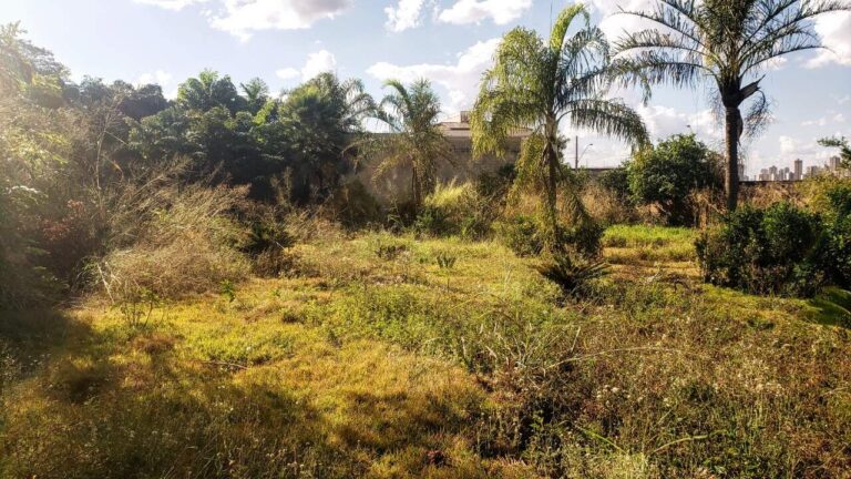 Terreno em Condomínio à venda no Royal Park: