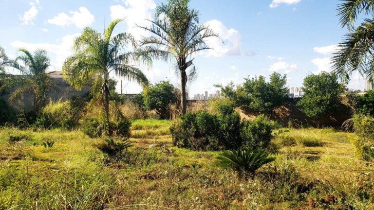 Terreno em Condomínio à venda no Royal Park: