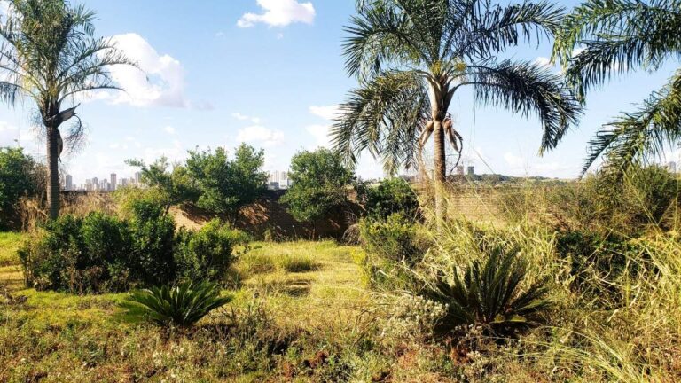 Terreno em Condomínio à venda no Royal Park: