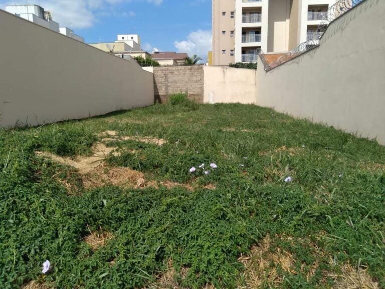 Terreno para aluguel no Jardim Califórnia: