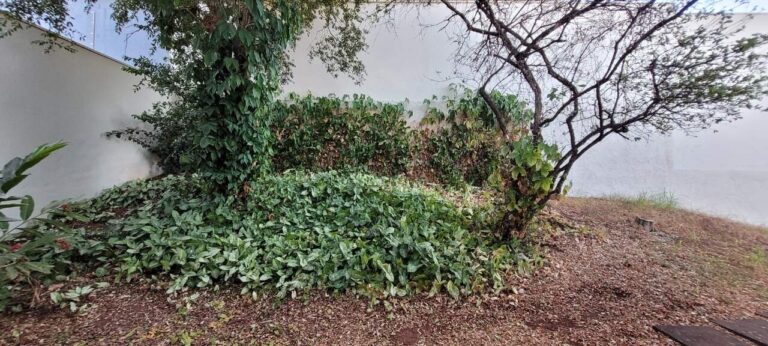 Prédio Comercial para aluguel no Jardim Irajá: