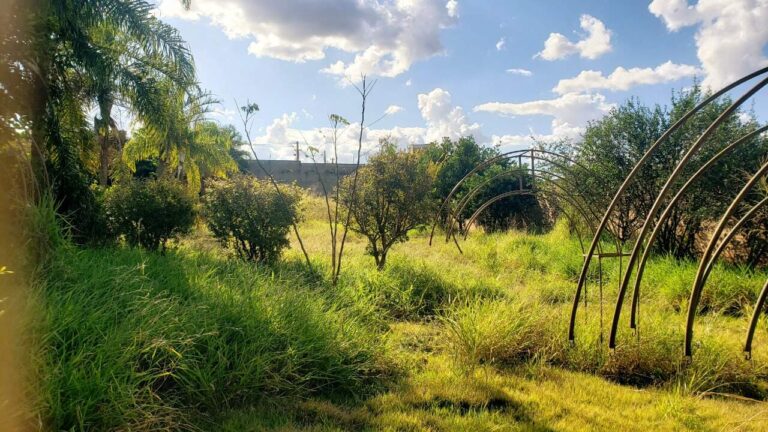 Terreno em Condomínio à venda no Royal Park: