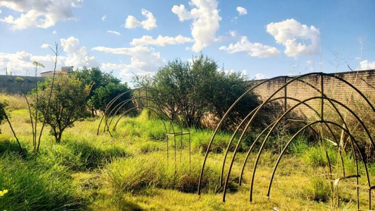 Terreno em Condomínio à venda no Royal Park: