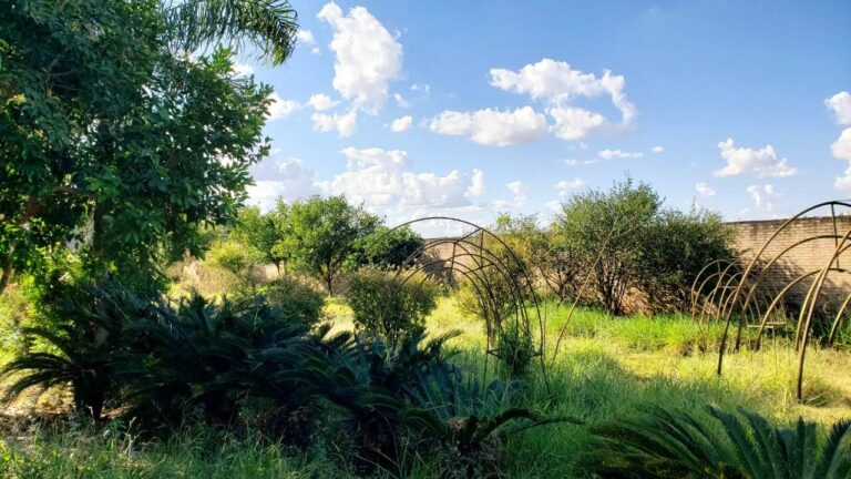 Terreno em Condomínio à venda no Royal Park:
