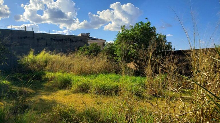 Terreno em Condomínio à venda no Royal Park: