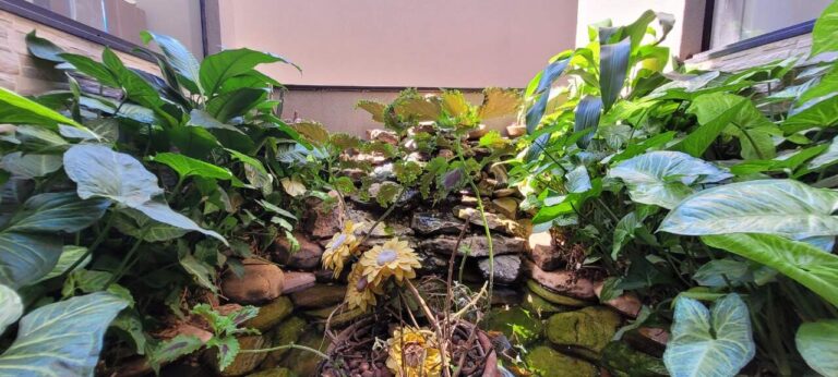 Casa para aluguel no Ribeirânia: Lago artificial