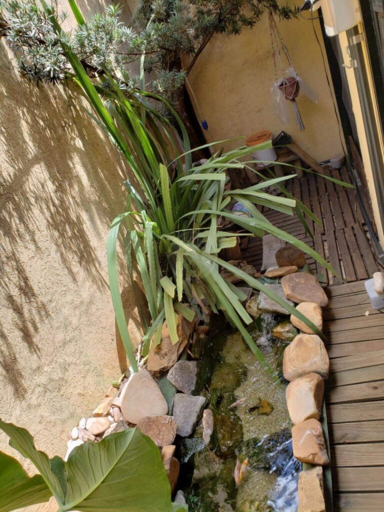 Casa à venda no Jardim Irajá: | Foto_migracao | 24