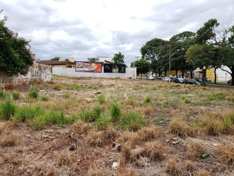 Terreno Comercial à venda no Alto da Boa Vista: | Foto_migracao | 3