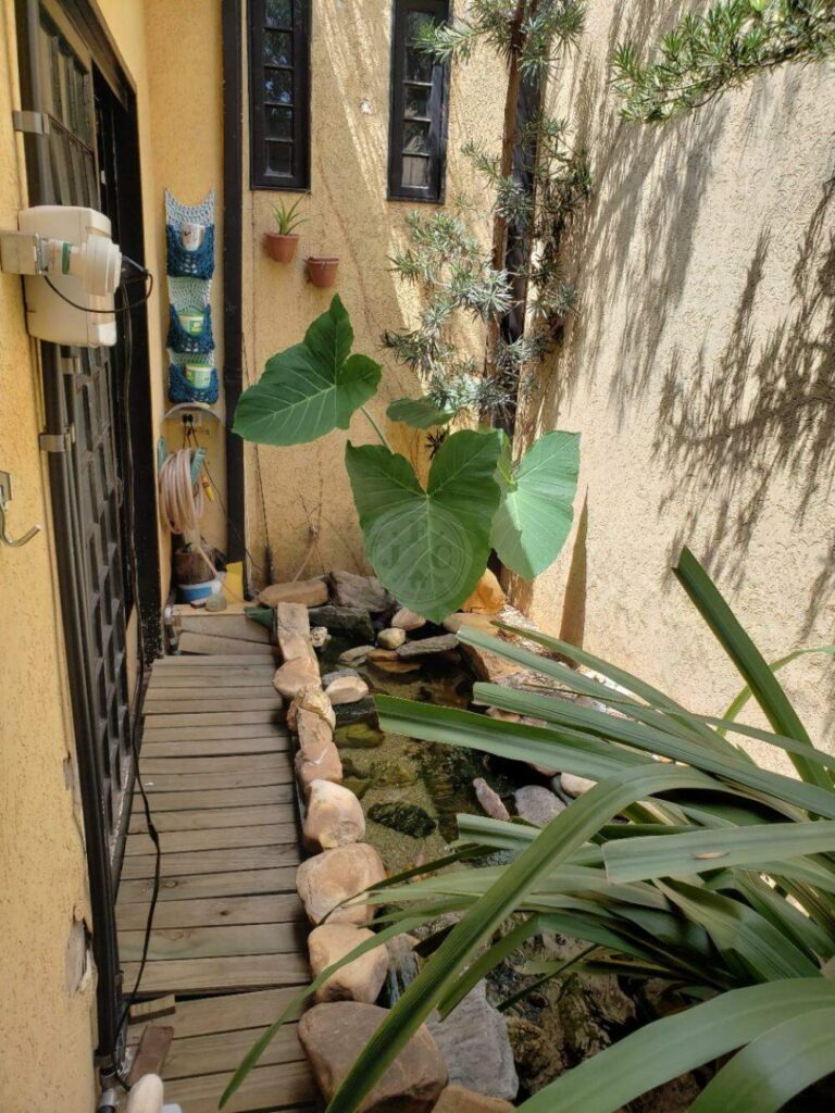 Casa à venda no Jardim Irajá: | Foto_migracao | 25