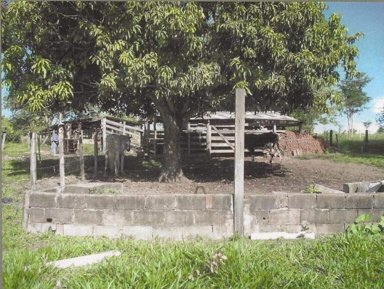 Sítio à venda no Zona Rural: