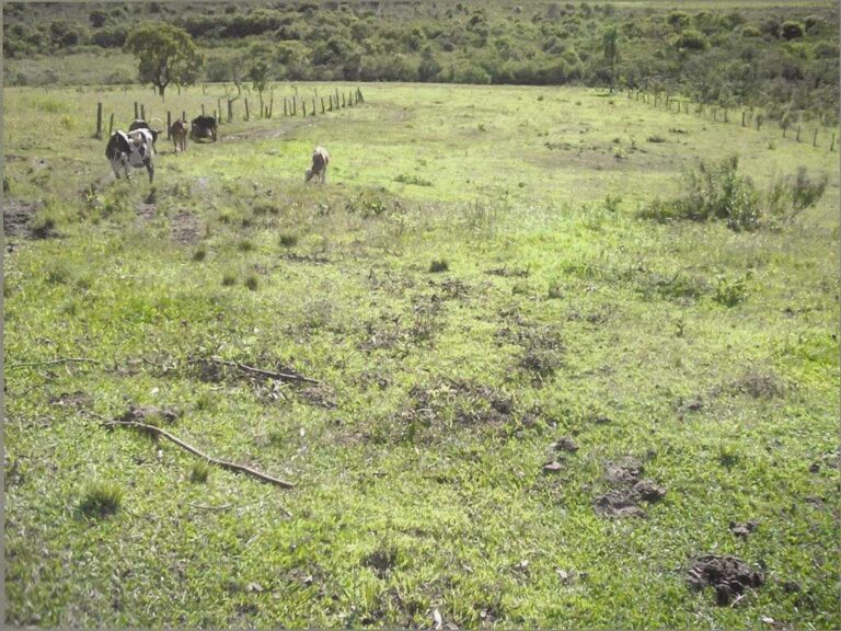 Sítio à venda no Zona Rural: