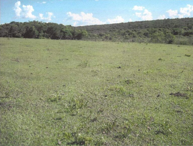 Sítio à venda no Zona Rural: