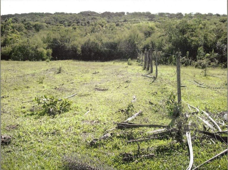 Sítio à venda no Zona Rural:
