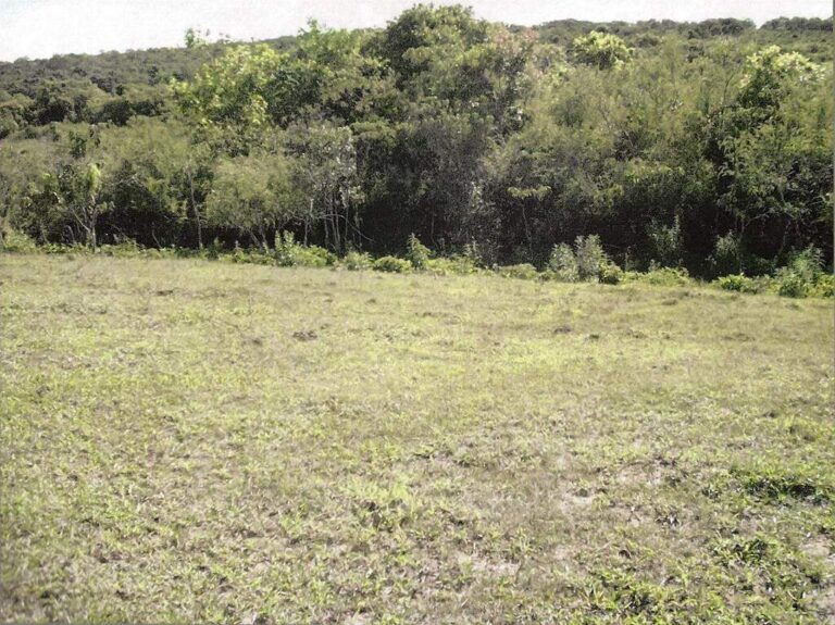 Sítio à venda no Zona Rural: