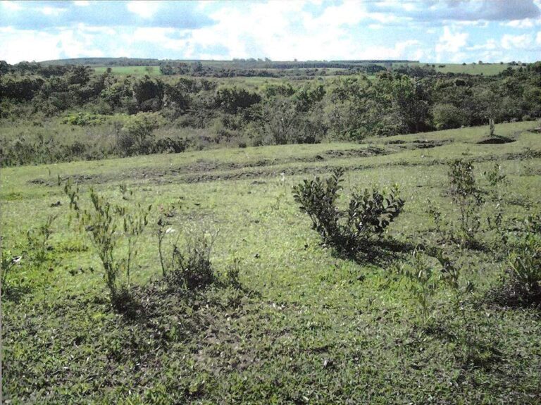 Sítio à venda no Zona Rural: