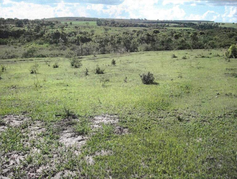 Sítio à venda no Zona Rural: