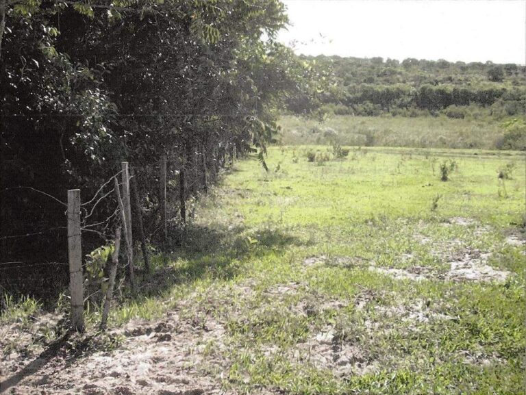 Sítio à venda no Zona Rural: