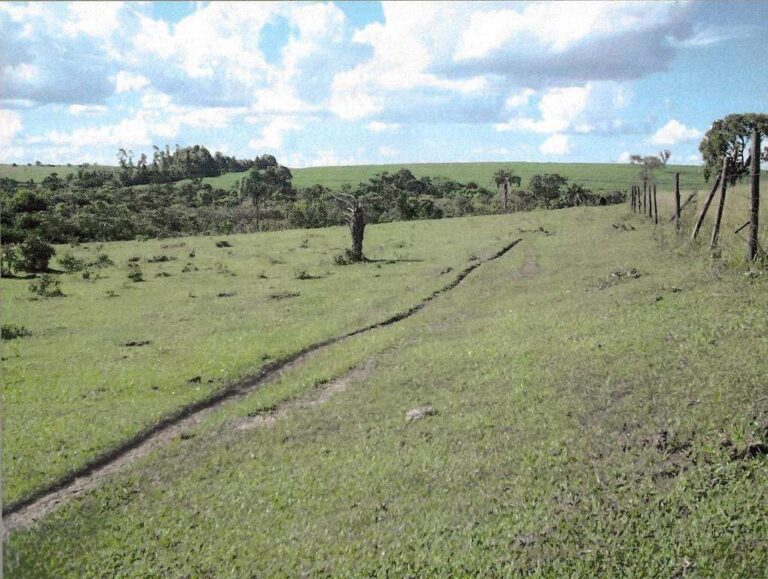 Sítio à venda no Zona Rural: