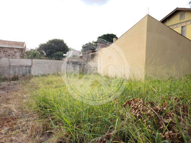 Terreno à venda no Alto da Boa Vista: | Foto_migracao | 3