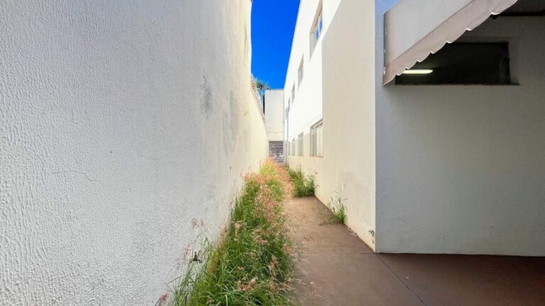 Prédio Comercial à venda no Alto da Boa Vista: corredor lateral