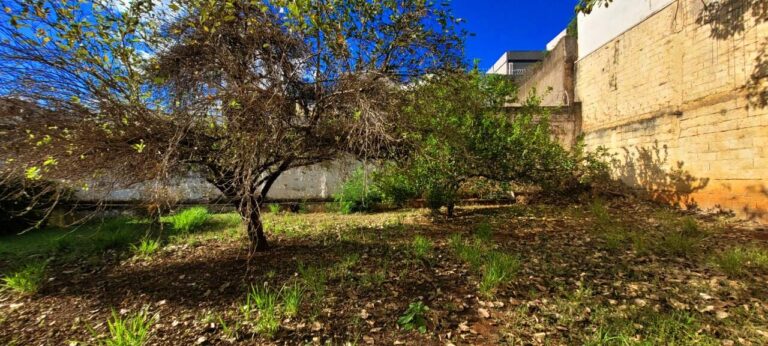 Casa Comercial à venda no Jardim Sumaré: quintal