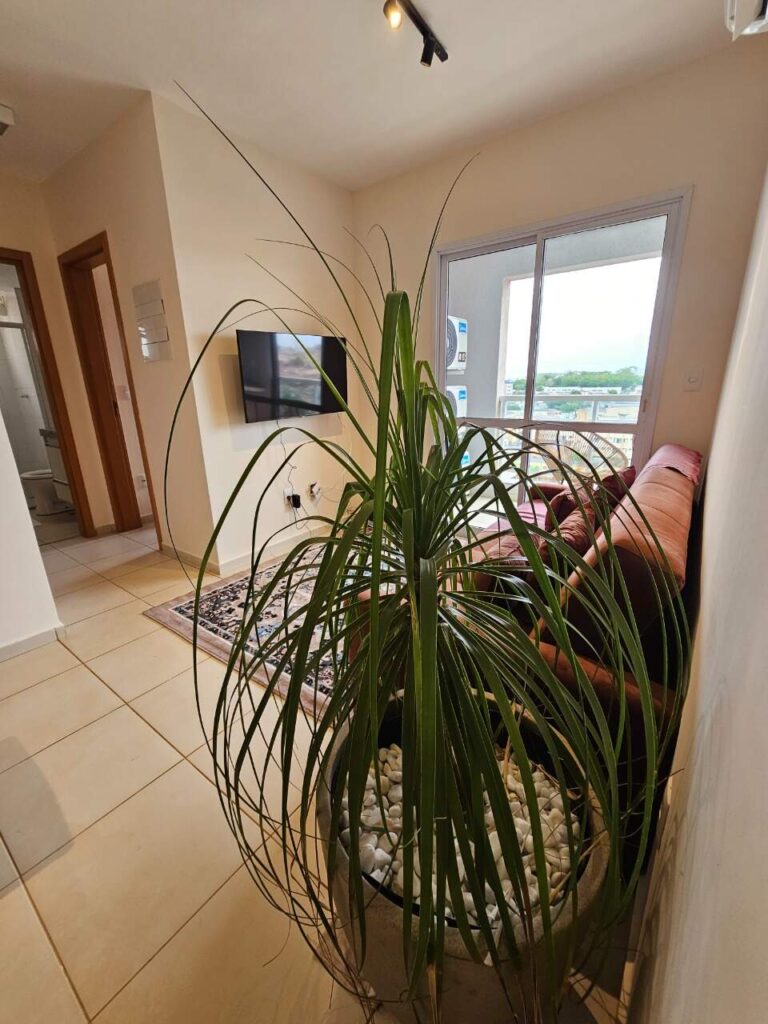 Apartamento para aluguel no Iguatemi: