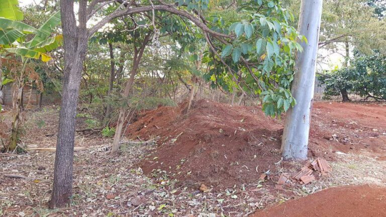 Terreno Comercial à venda no Ribeirânia: | Foto_migracao | 13