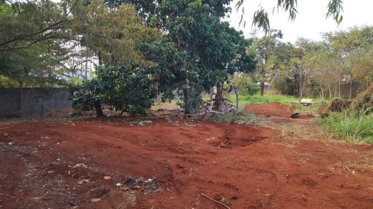 Terreno Comercial para aluguel no Ribeirânia: | Foto_migracao | 12
