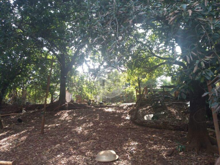 Terreno em Condomínio à venda no Quinta da Alvorada: | Foto_migracao | 3