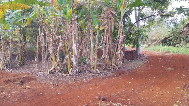 Terreno Comercial à venda no Ribeirânia: | Foto_migracao | 16