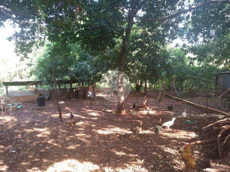 Terreno em Condomínio à venda no Quinta da Alvorada: | Foto_migracao | 10