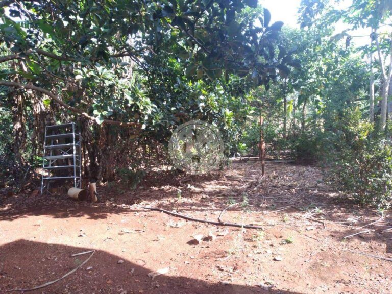 Terreno em Condomínio à venda no Quinta da Alvorada: | Foto_migracao | 13