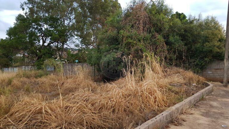 Terreno Comercial para aluguel no Ribeirânia: | Foto_migracao | 9