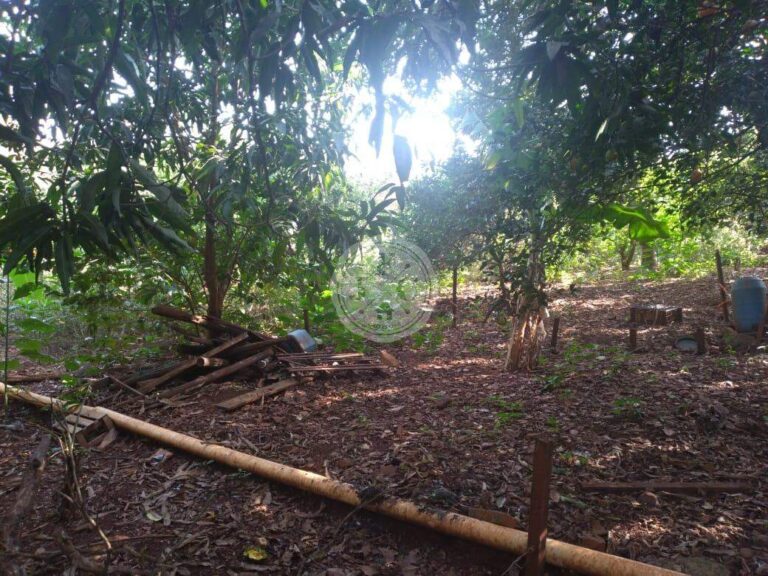 Terreno em Condomínio à venda no Quinta da Alvorada: | Foto_migracao | 17