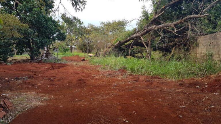 Terreno Comercial à venda no Ribeirânia: | Foto_migracao | 15