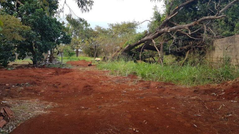 Terreno Comercial para aluguel no Ribeirânia: | Foto_migracao | 15