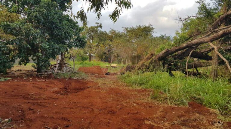 Terreno Comercial para aluguel no Ribeirânia: | Foto_migracao | 11
