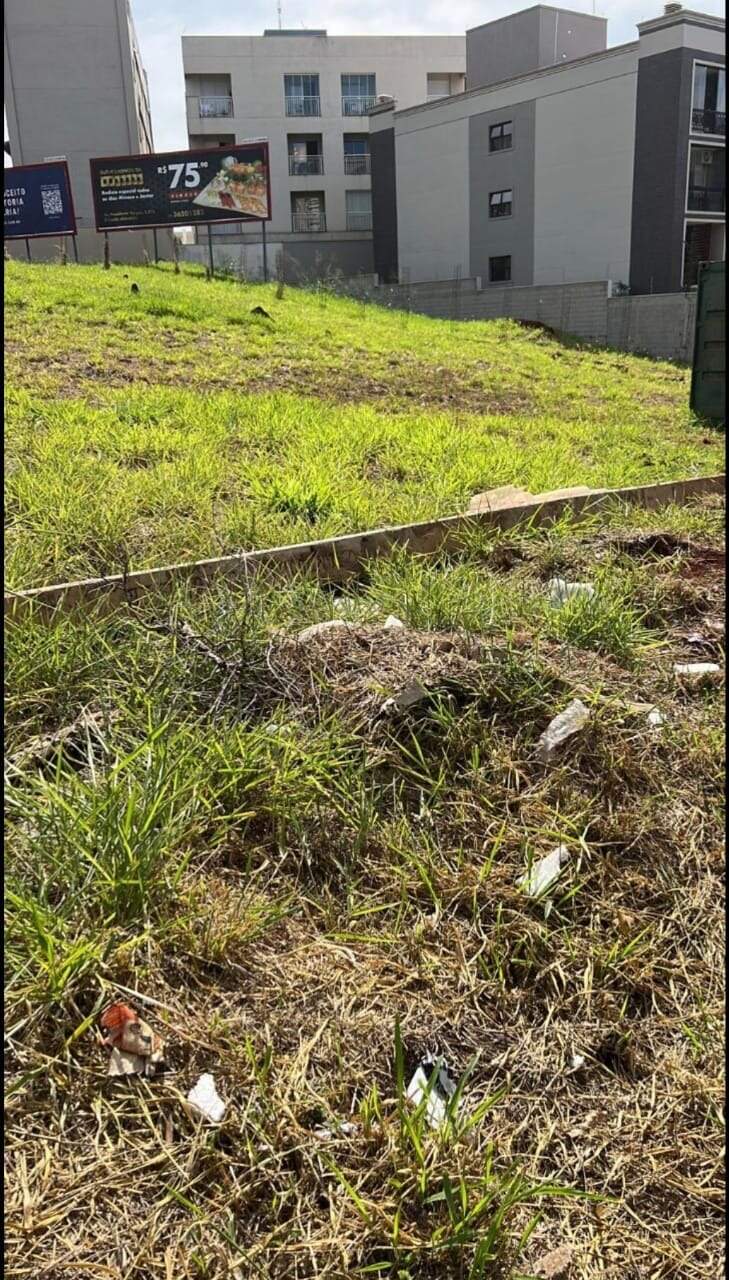 Terreno Comercial para aluguel no Jardim Botânico: